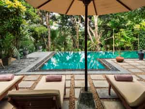 The pool is surrounded by Mango and Clove trees