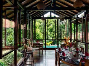 Dining in the canopy of the trees
