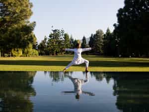Palace Lawns - warrior pose 