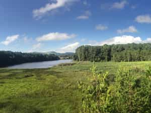 The Luwawa Damn is a wonder area to walk around, sit by and relax, hire one of the Lodge Kayaks to paddle on or even try your hand at fishing in!