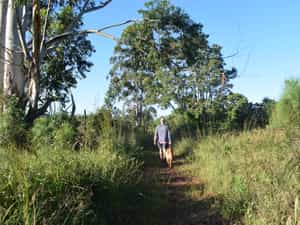 There are numerous mountain biking and walking routes to suit all capabilities from the easy 2km family walk to a more arduous 7 hour hike... to take in the magnificent variety of sceneries that the Lodge is set in