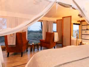 Luxury Safari Tent