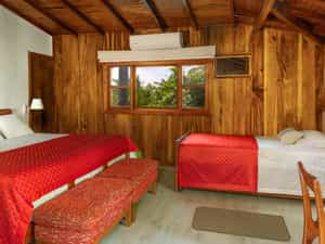 Suites rooms have king size bed