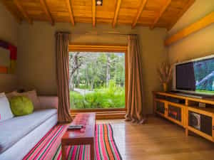TV Room
