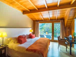 Deluxe room with terrace