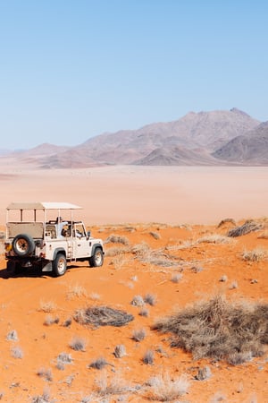 Desert exploring