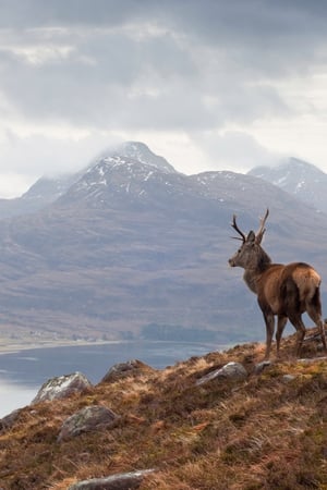 The highlights of Scotland