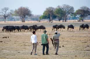 What makes a great safari tracker