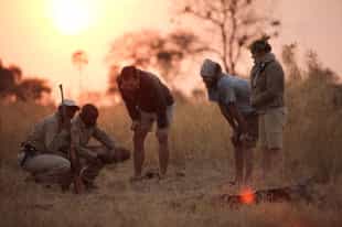 Why I Love Mornings in the Bush