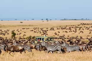 A month by month guide to Tanzania’s weather