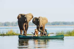 7 active safari ideas