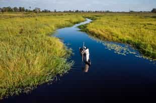 How to plan an affordable Botswana safari