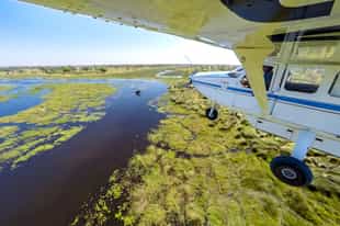 What is the best time of year to go on safari in Botswana?