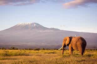What to pack for Kenya