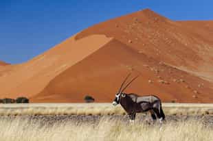 Namibia Travel Tips