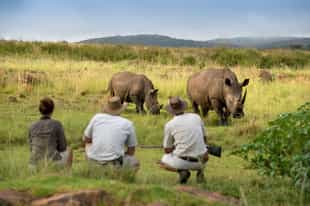 The Magic of Walking Safaris