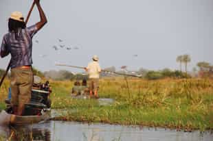 A Mokoro Expedition Across the Delta