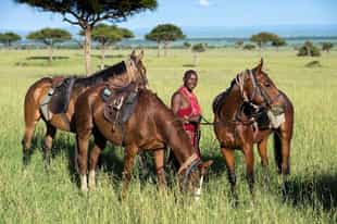 Alternative ways to experience Africa