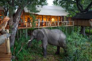 Different types of accommodation on safari