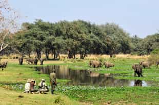 Zambia Travel Tips