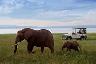 Things to do in Zimbabwe