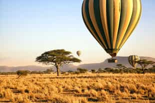 Serengeti safari guide