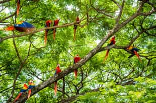 Costa Rica honeymoon guide