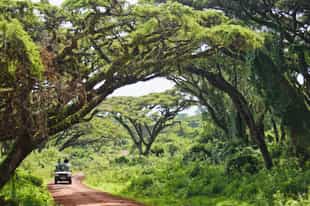 Our Guide to Solo Travel in Tanzania