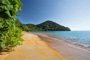 Explore Madagascar with Jonty