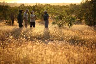 Is Tanzania safe?