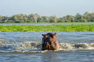 Tanzania: The rainy season