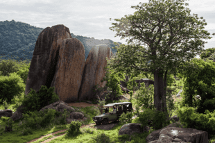 Discover Southern Tanzania’s Safari Secrets Off the Beaten Path