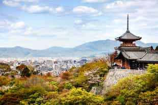Tessa discovers dreamy Japan