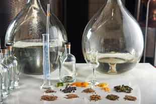 Journey to Phnom Penh's first garden to glass distillery