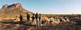Go on a guided bush walk in Niassa