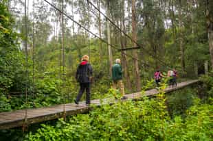 Hike through the fields, forests and mountains