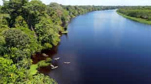 Paddle the small creeks in Pacaya Samiria by kayak