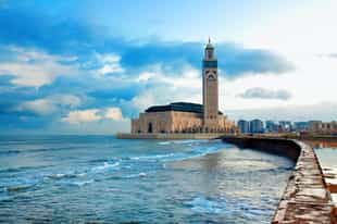 Explore the city of Casablanca with a guide