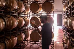 Learn the ropes from a winemaker in Wine Valley