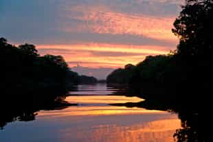 Take a sunset cruise along the Amazon