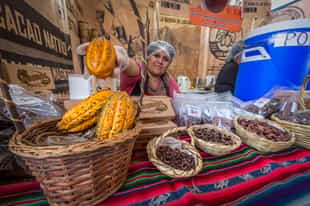 Enjoy chocolate tasting at El Cacaotal, Lima