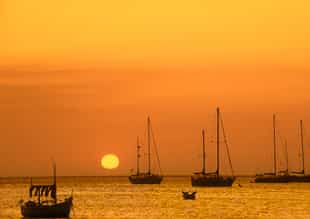 Sail Miraflores Bay at sunset 