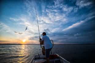 Revel in Costa Rica's fascinating marine wildlife