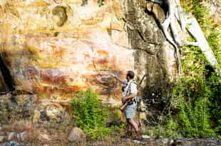 View ancient rock art in Gonarezhou National Park