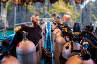 Scuba dive among the coral reefs in Krabi
