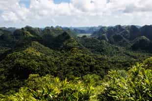 Trek through Cat Ba National Park in Halong Bay