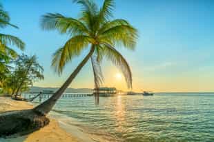 Take in the sunset at the beach in Phu Quoc