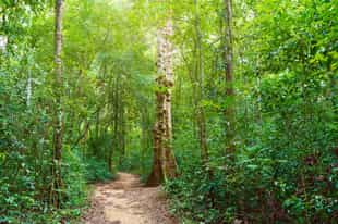 Explore the Phu Quoc National Park