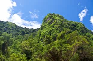 Head out on a hike in Muang La