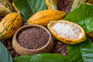 Go to a chocolate making workshop in Antananarivo